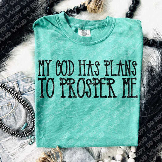 My God has plans to prosper me