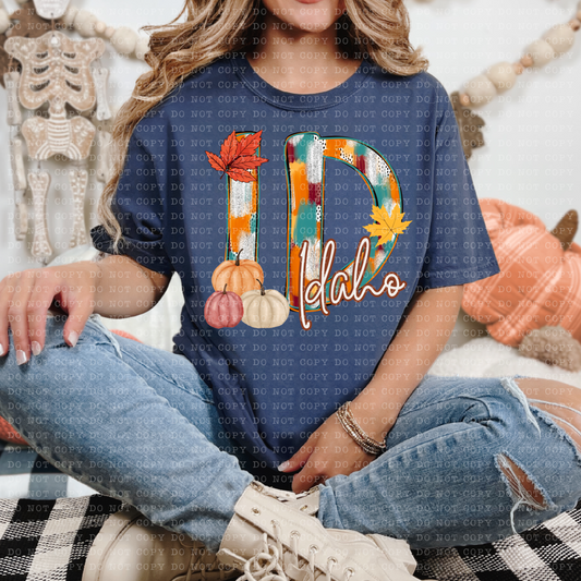 Idaho-Fall Dottie State-Completed tee/Bella