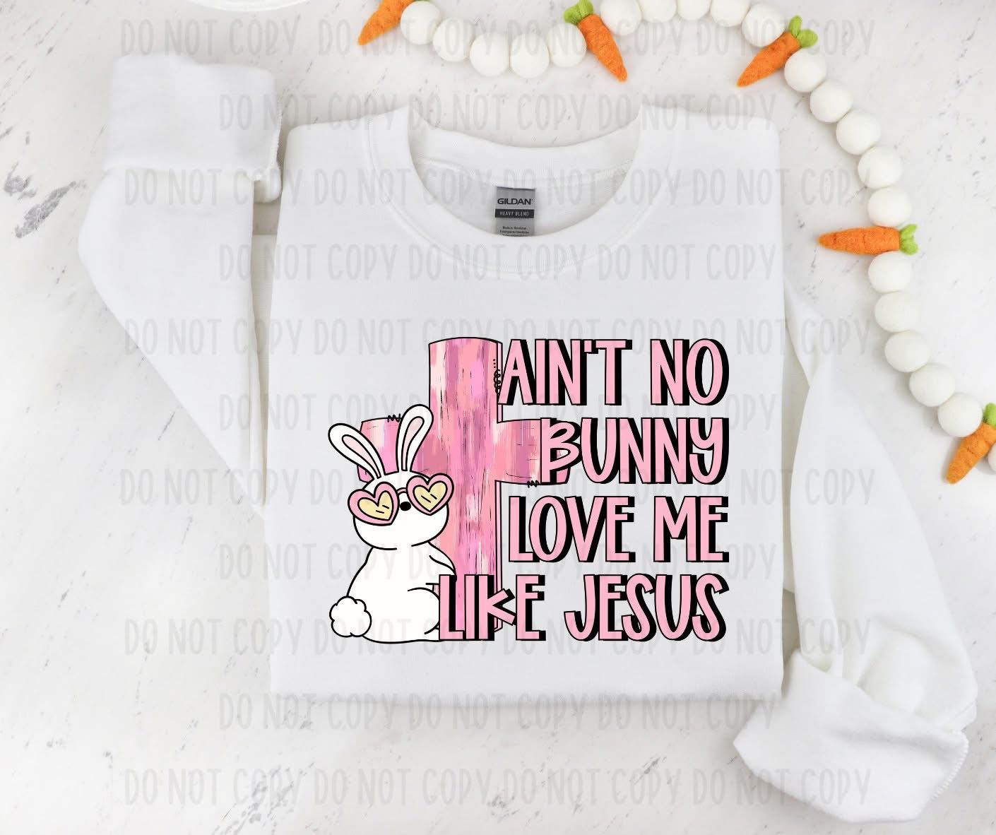 Aint No Bunny Love Me Like Jesus RC