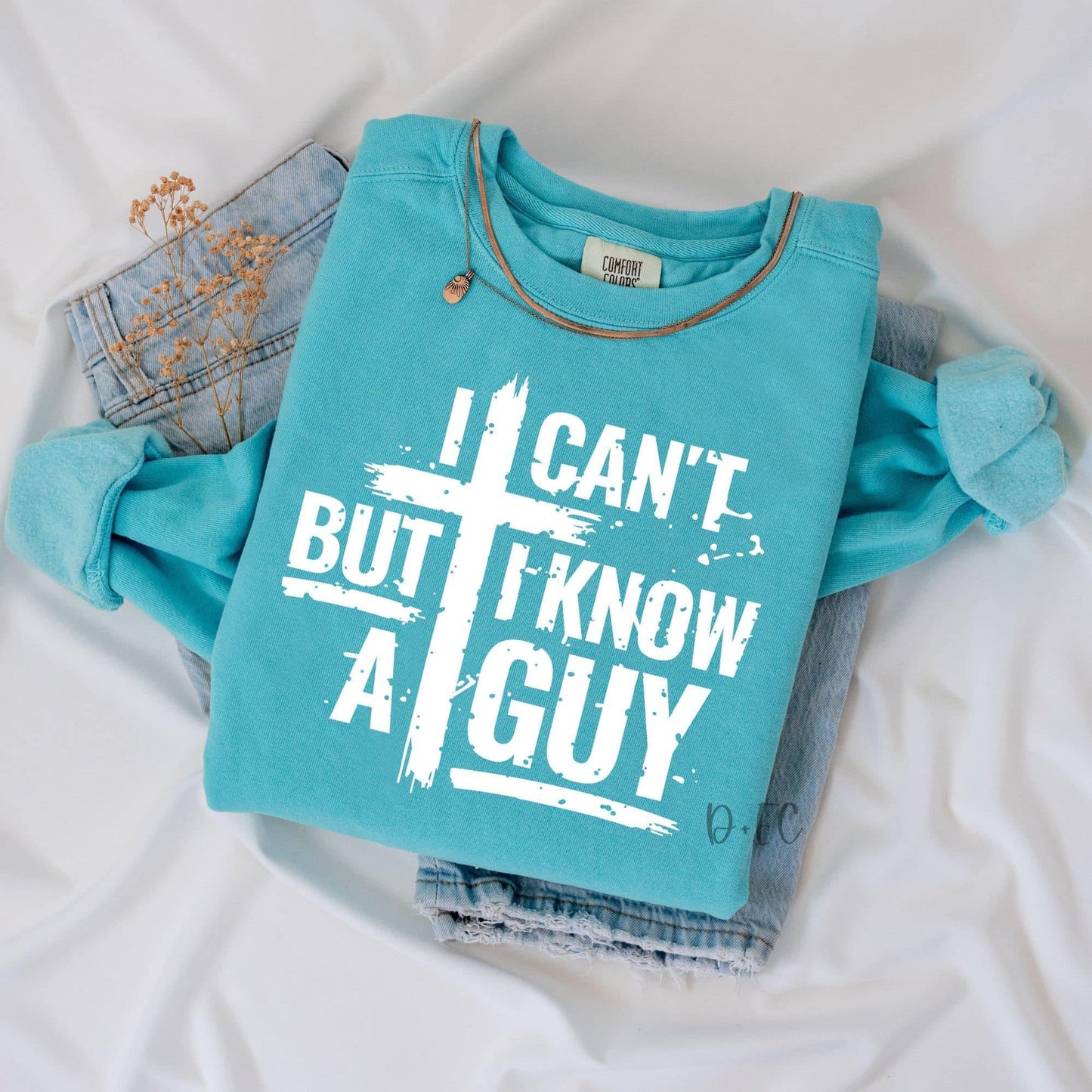 I can’t but i know a Guy (2)- Comfort Color