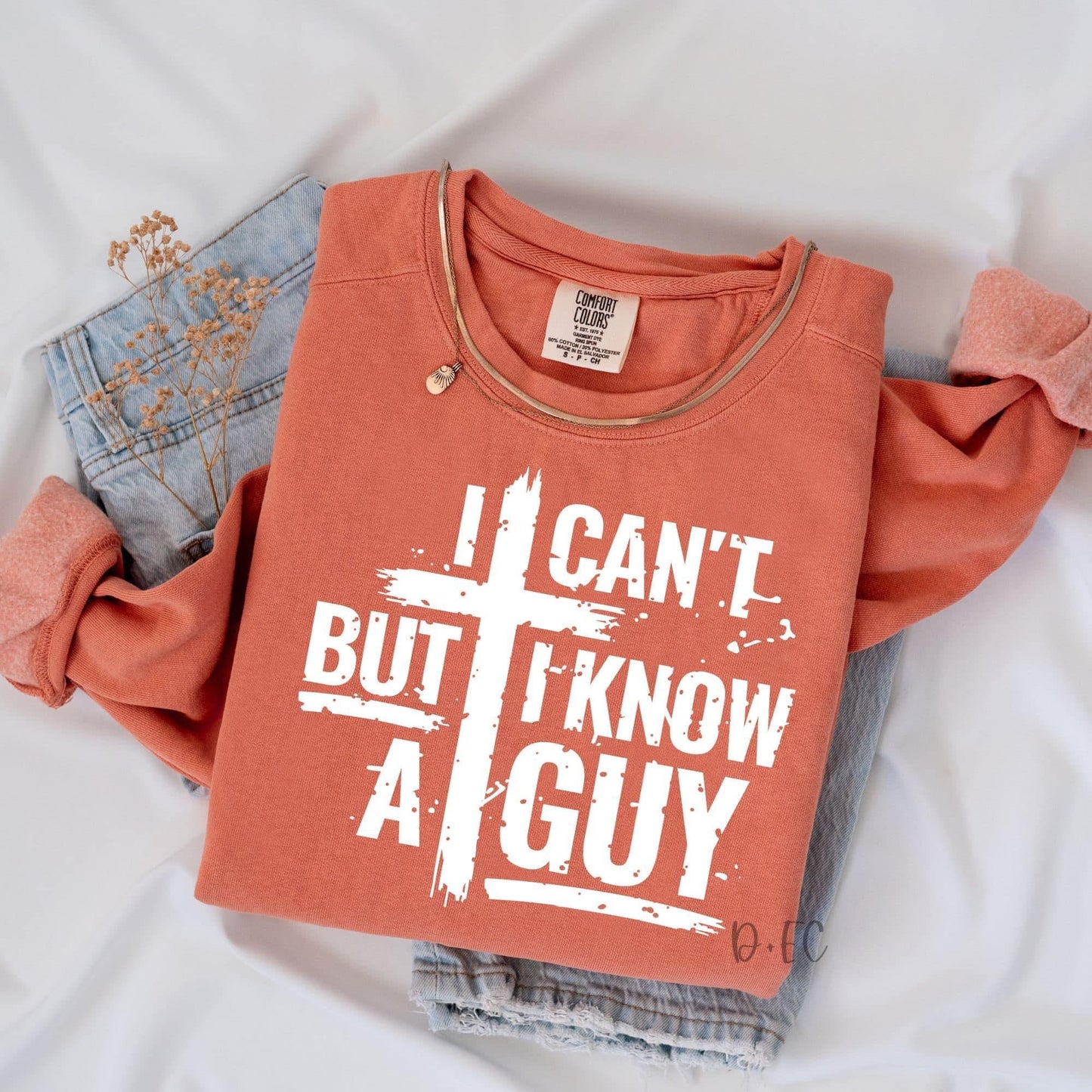 I can’t but i know a Guy (2)- Comfort Color