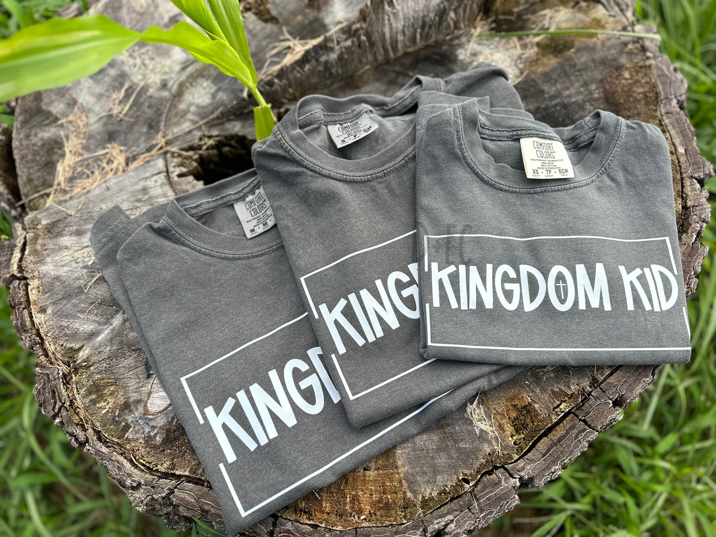 Kingdom Kid- Comfort Color